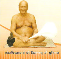 Acharya Shri 108 Vidyanand Ji Maharaj