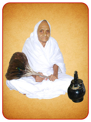 Aryika Shri 105 Darshanmati Mata Ji