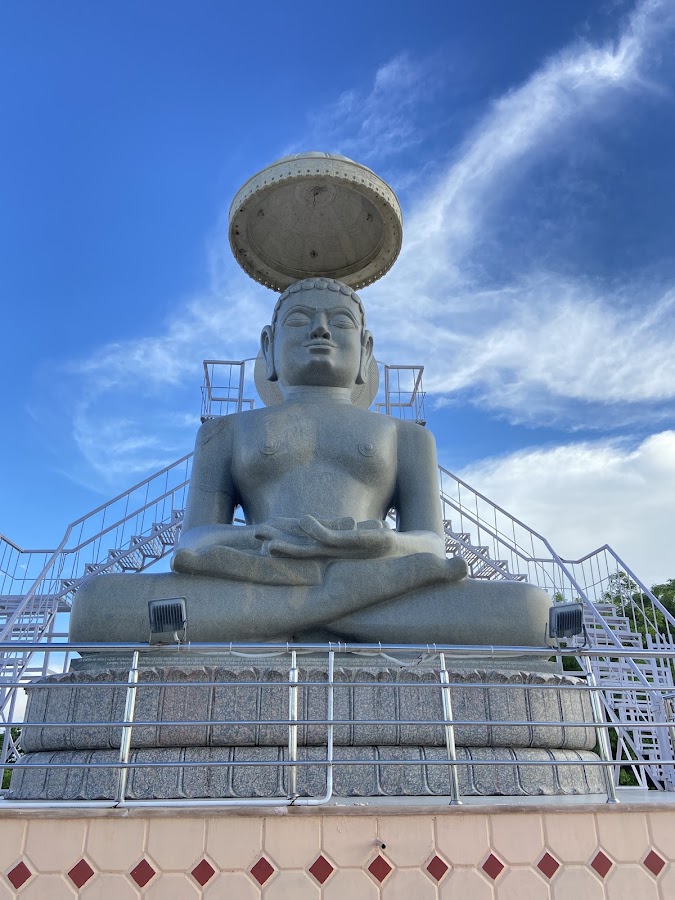 Sacred Darshan of Mathura Chaurasi - Moolnayak Bhagwan Rishabhanatha (Adinath)