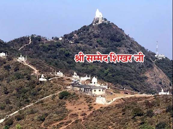 Sacred Darshan of Shri Sammed Shikharji - Moolnayak Bhagwan Rishabhanatha (Adinath)