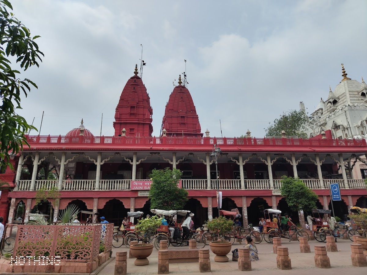 Sacred Darshan of Shri Digamber Jain Naya Mandir - Moolnayak Bhagwan Rishabhanatha (Adinath)