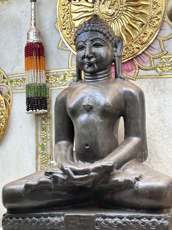 Sacred Darshan of Shri Vimalnath Digamber Jain Teerth Kshetra - Moolnayak Bhagwan Vimalanatha