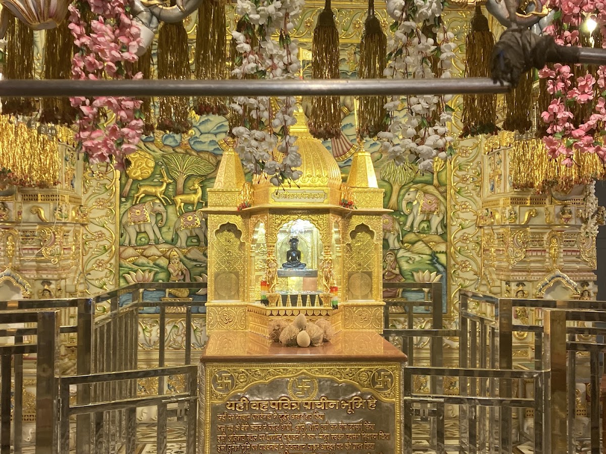 Sacred Darshan of Shri Ahikshetra Parshwanath Digambar Jain Atishay Kshetra - Moolnayak Bhagwan Jinendra Dev