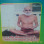 Acharya Shri 108 Merubhusan Ji Maharaj